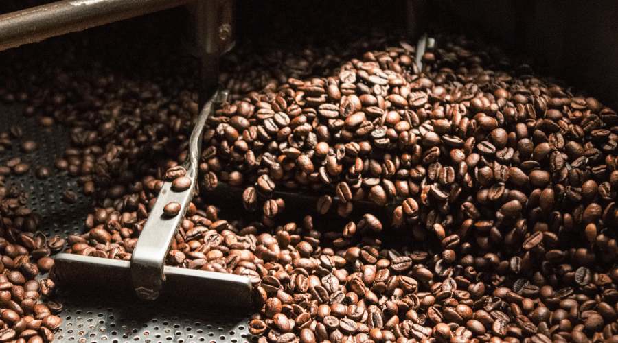 how-to-start-a-coffee-roasting-business